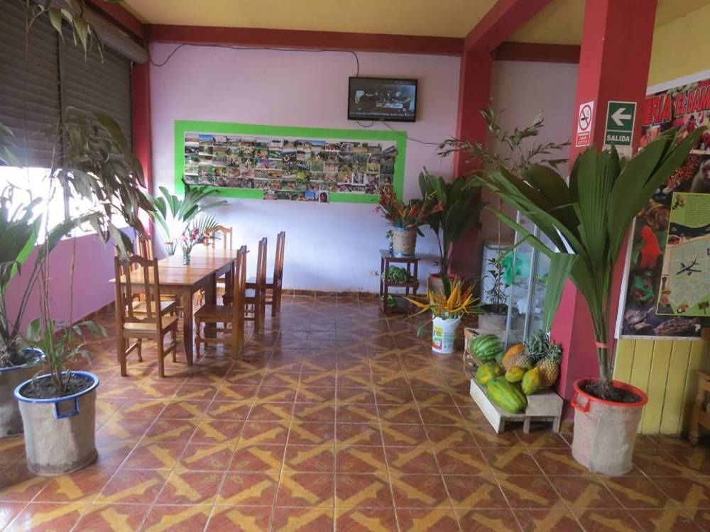 פוארטו מלדונדו Tambopata Hostel Bambu מראה חיצוני תמונה