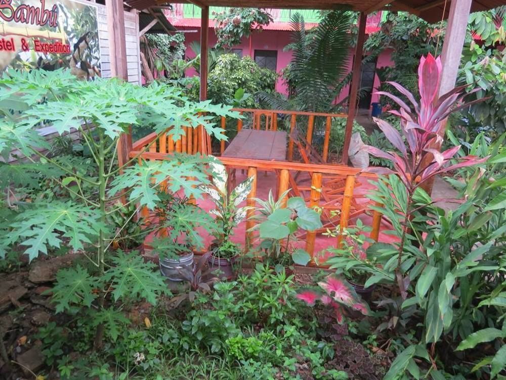 פוארטו מלדונדו Tambopata Hostel Bambu מראה חיצוני תמונה