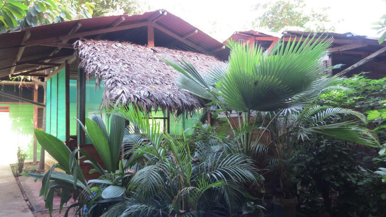 פוארטו מלדונדו Tambopata Hostel Bambu מראה חיצוני תמונה