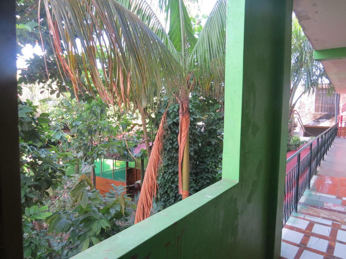 פוארטו מלדונדו Tambopata Hostel Bambu מראה חיצוני תמונה